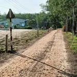Bán đất thổ cư 50m² Châu Thành Tây Ninh 350 triệu - Ảnh thu nhỏ 2