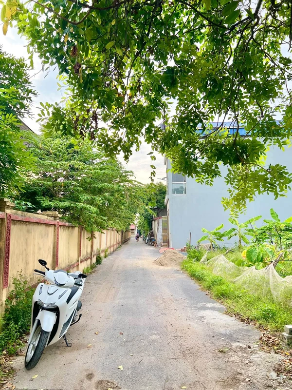 Bán lô đất 187m2 An Chiểu 2, Hưng Yên, hơn 3 tỷ