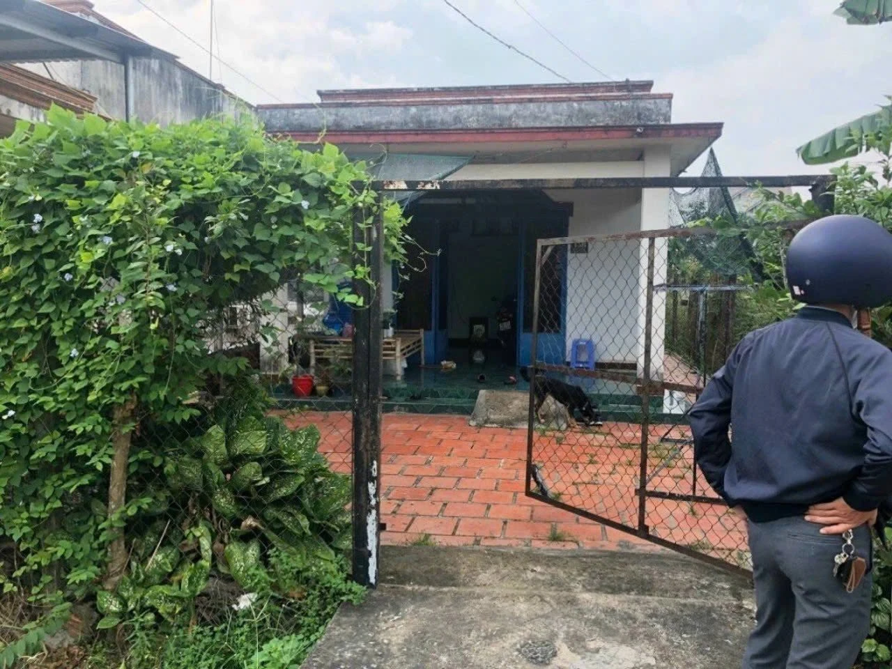 Bán đất Tân Thông Hội, Củ Chi 231m² mặt tiền 950 triệu - Ảnh 1