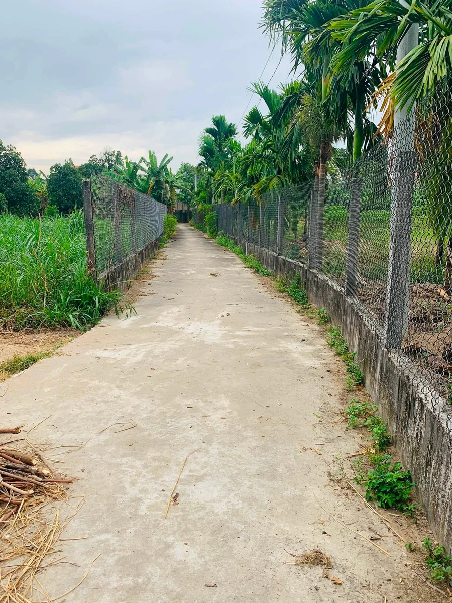 Bán đất 500m² có nhà cấp 4 gần chợ Nghĩa Kỳ - Ảnh thu nhỏ 2