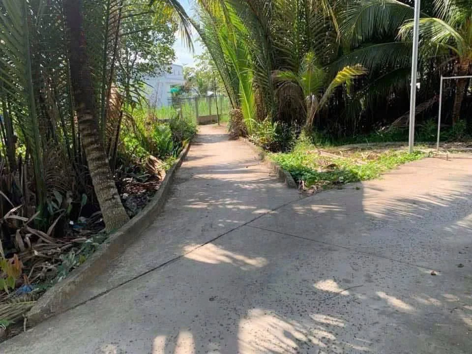 Bán đất 281m2 tại Bến Tre, xã Mỹ Thạnh An - Ảnh 1