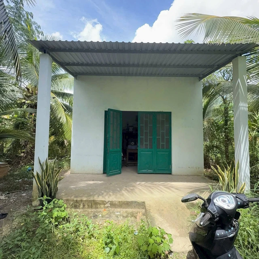 Bán đất 427m² tặng nhà 2 phòng Phú Hưng, Bến Tre - Ảnh thu nhỏ 3