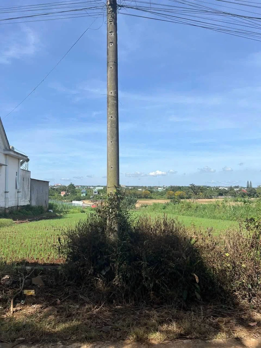 Bán đất hẻm Lê Duẫn, Phường An Phú, 100m² - Ảnh thu nhỏ 3
