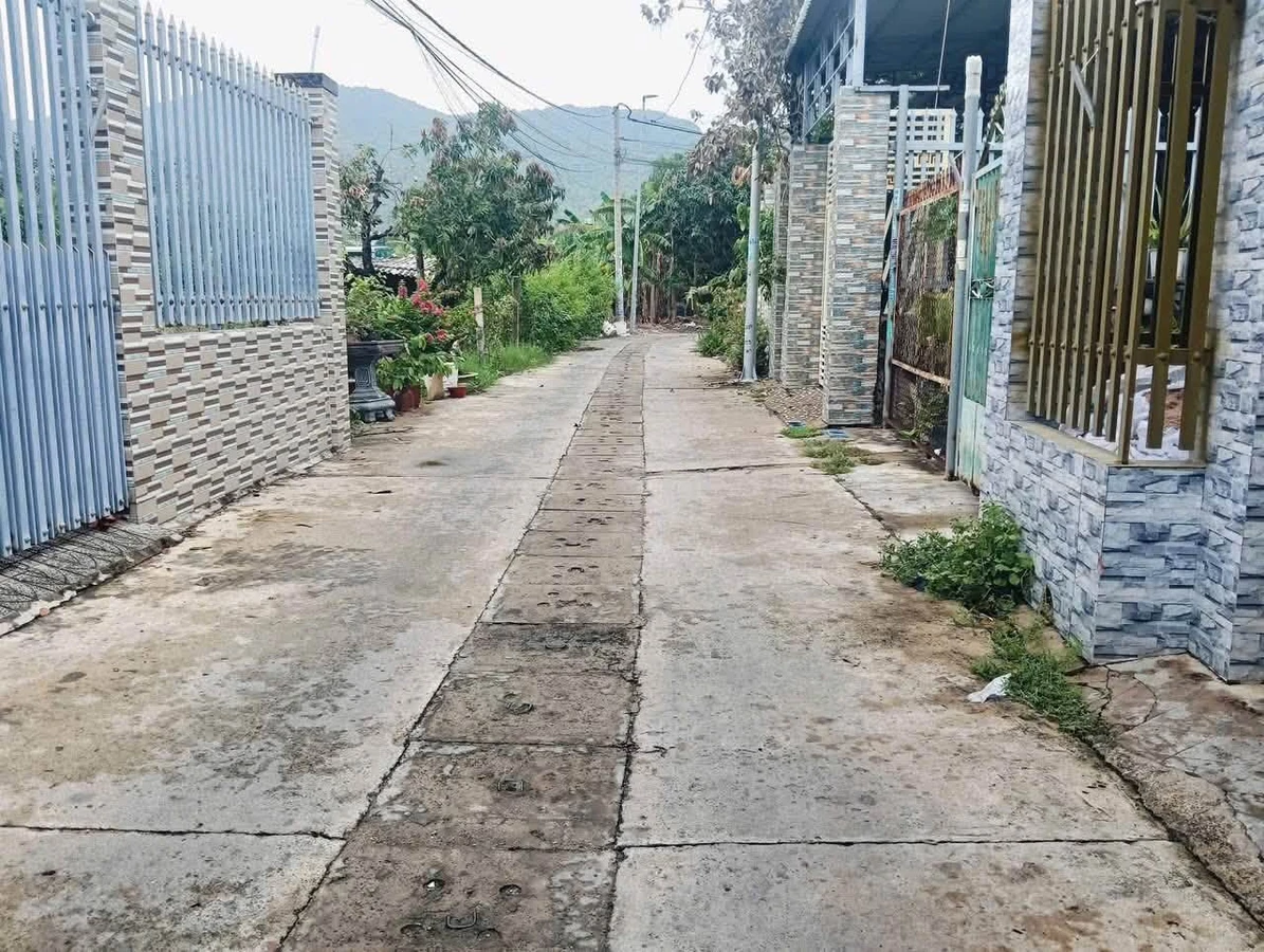 Bán đất Nhà Bè 100m² Huỳnh Mẫn Đạt 1 tỷ 335 triệu - Ảnh thu nhỏ 4