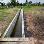 Bán 1000m2 đất ở Hàm Liêm, Bình Thuận, 550 triệu - Ảnh thu nhỏ 2