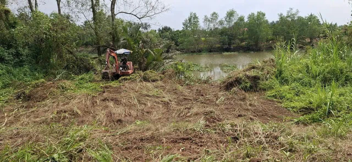 Bán đất Phú Túc Bến Tre 1538m2, 1,2 tỷ - Ảnh thu nhỏ 3