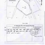 Nhà vườn lớn Sáu Bình gần biển - Ảnh thu nhỏ 5