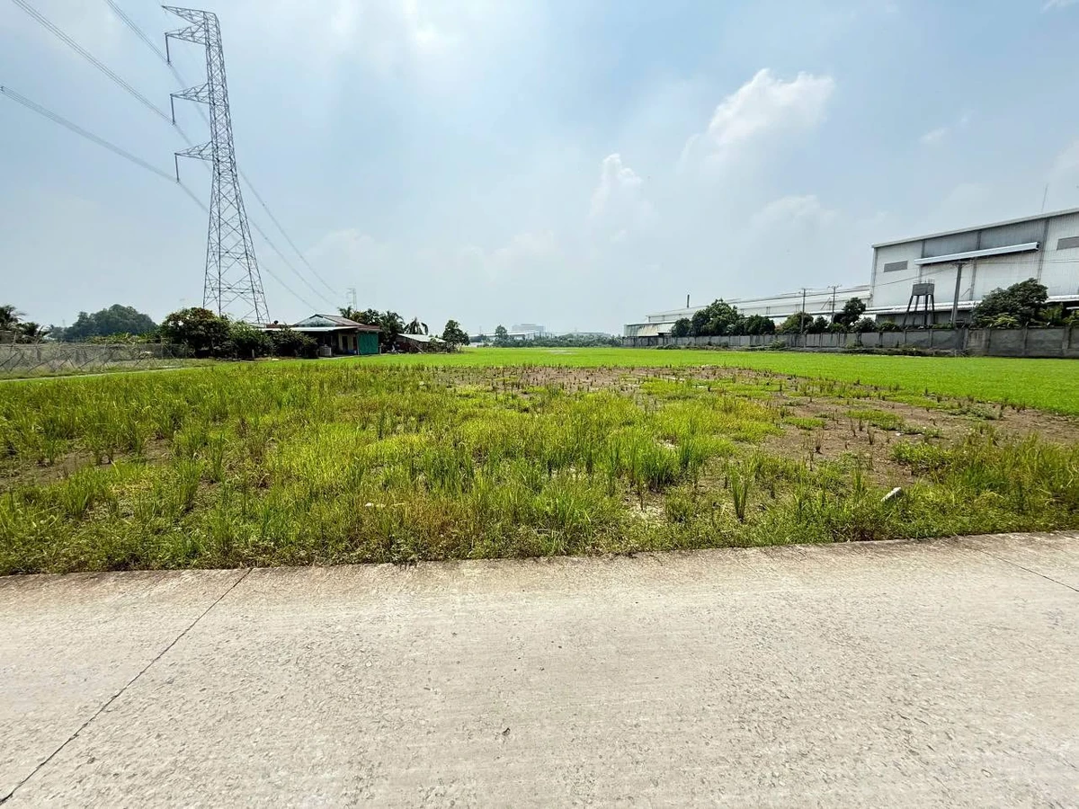 Bán đất thổ cư 5x28m (140m²) Tân Trụ 450 triệu - Ảnh thu nhỏ 2