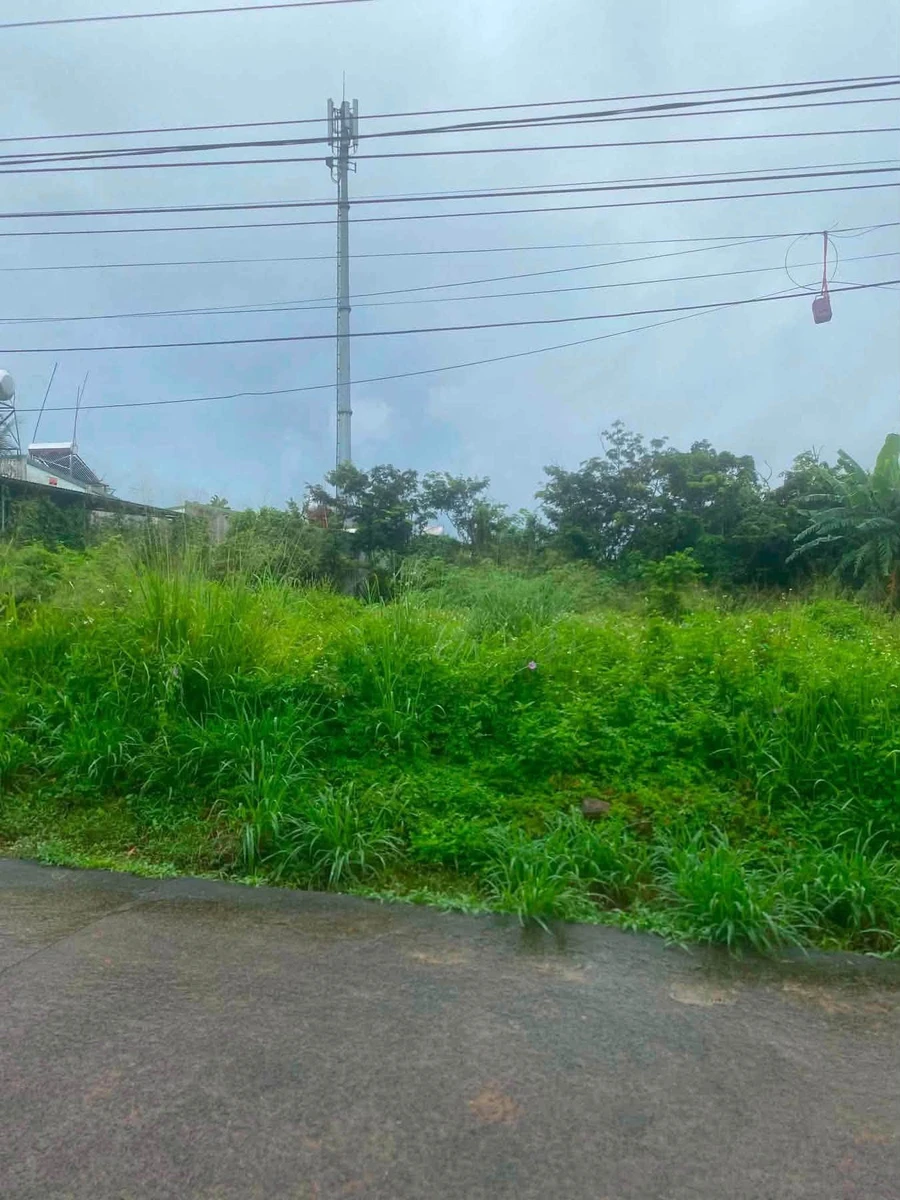 Bán đất hẻm 383 Nguyễn Văn Cừ, 112.5m², 2 tỷ 190 triệu - Ảnh 1