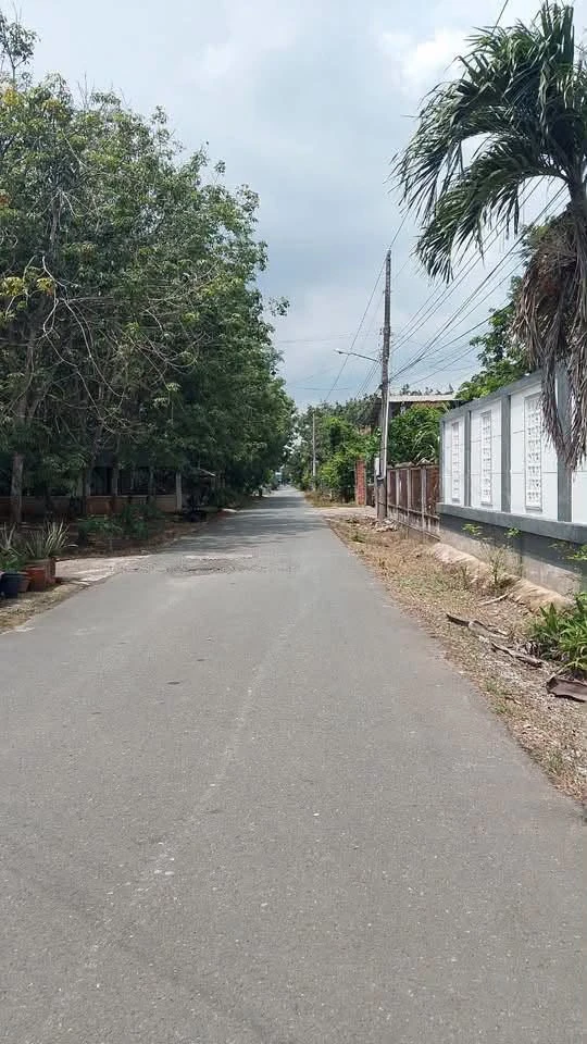 Bán đất Tân Bình 350m² giá 1 tỷ 3 - Ảnh thu nhỏ 4