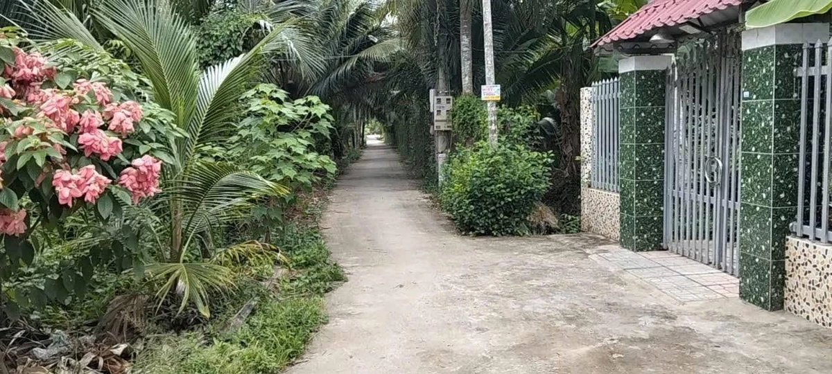Bán 1000m² đất gần chợ Hữu Định Phước Thạnh Nhà Bè - Ảnh 1