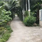 Bán 1000m² đất gần chợ Hữu Định Phước Thạnh Nhà Bè - Ảnh thu nhỏ 1