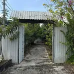 Bán nhà vườn 393m² thổ cư tại Mỹ Lộc, Cần Giuộc, Long An giá 1,5 tỷ - Ảnh thu nhỏ 3