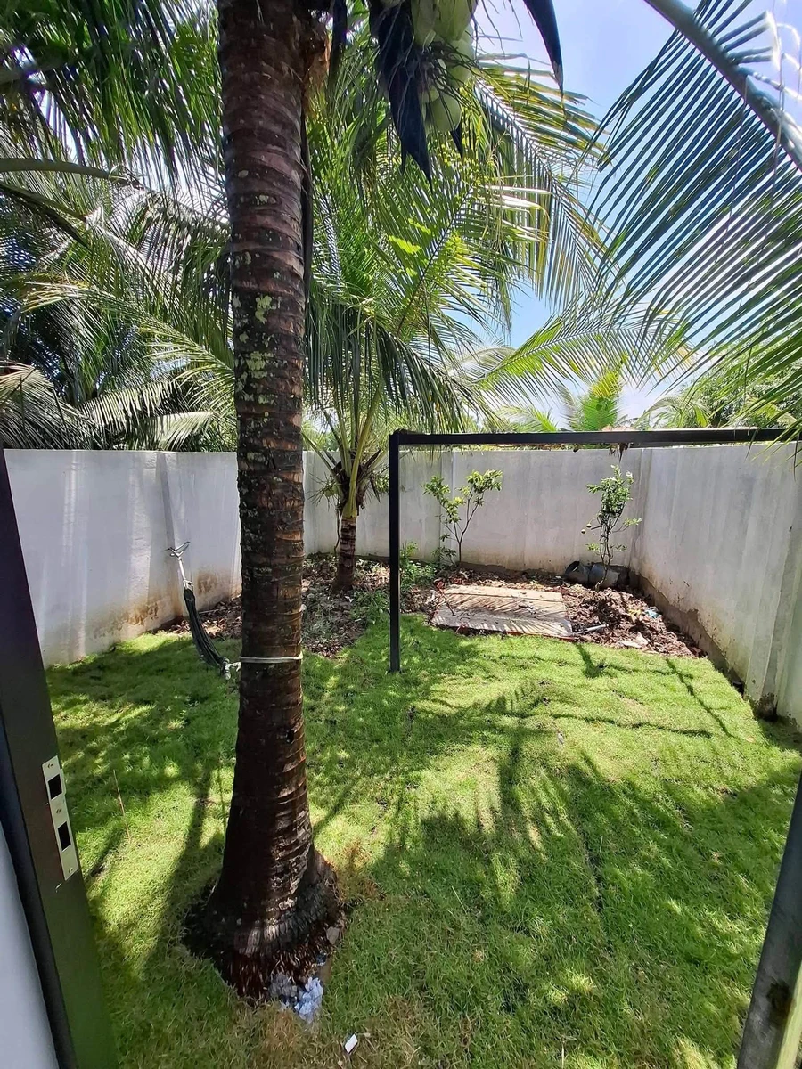 Bán nhà vườn mini 244m2, 3 phòng ngủ Tầm Vu 1 tỷ 250 triệu - Ảnh thu nhỏ 3
