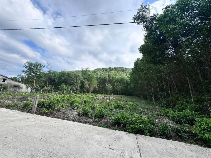 Bán đất vườn 1450m² Hoà Vang, Đà Nẵng, giá 1 tỷ