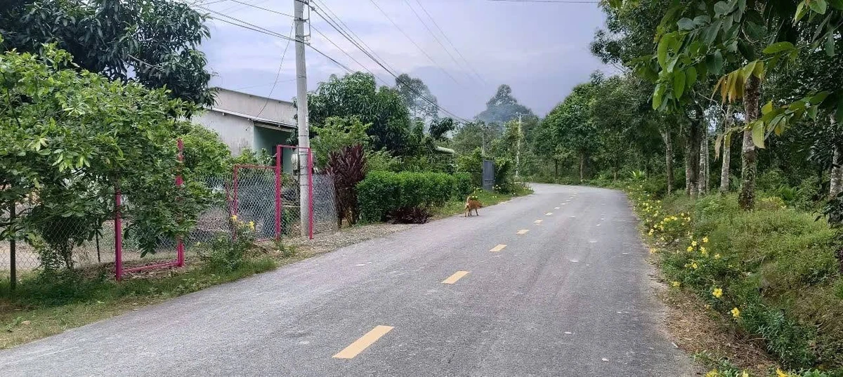 Bán lô đất vườn 9932m² Đạ Lây, Lâm Đồng - Ảnh thu nhỏ 2