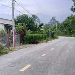 Bán lô đất vườn 9932m² Đạ Lây, Lâm Đồng - Ảnh thu nhỏ 2