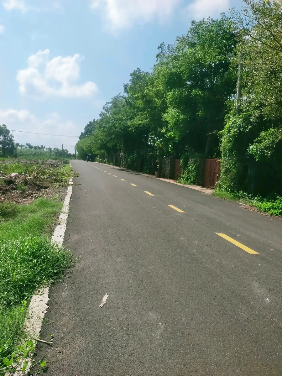 Bán đất Phước Hải hơn 2 sào, giá 3 tỷ 8 - Ảnh thu nhỏ 2