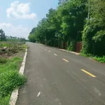Bán đất Phước Hải hơn 2 sào, giá 3 tỷ 8 - Ảnh thu nhỏ 2