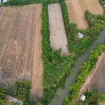 Bán đất ruộng 11.715m² Nguyễn Chánh, An Giang - Ảnh thu nhỏ 4