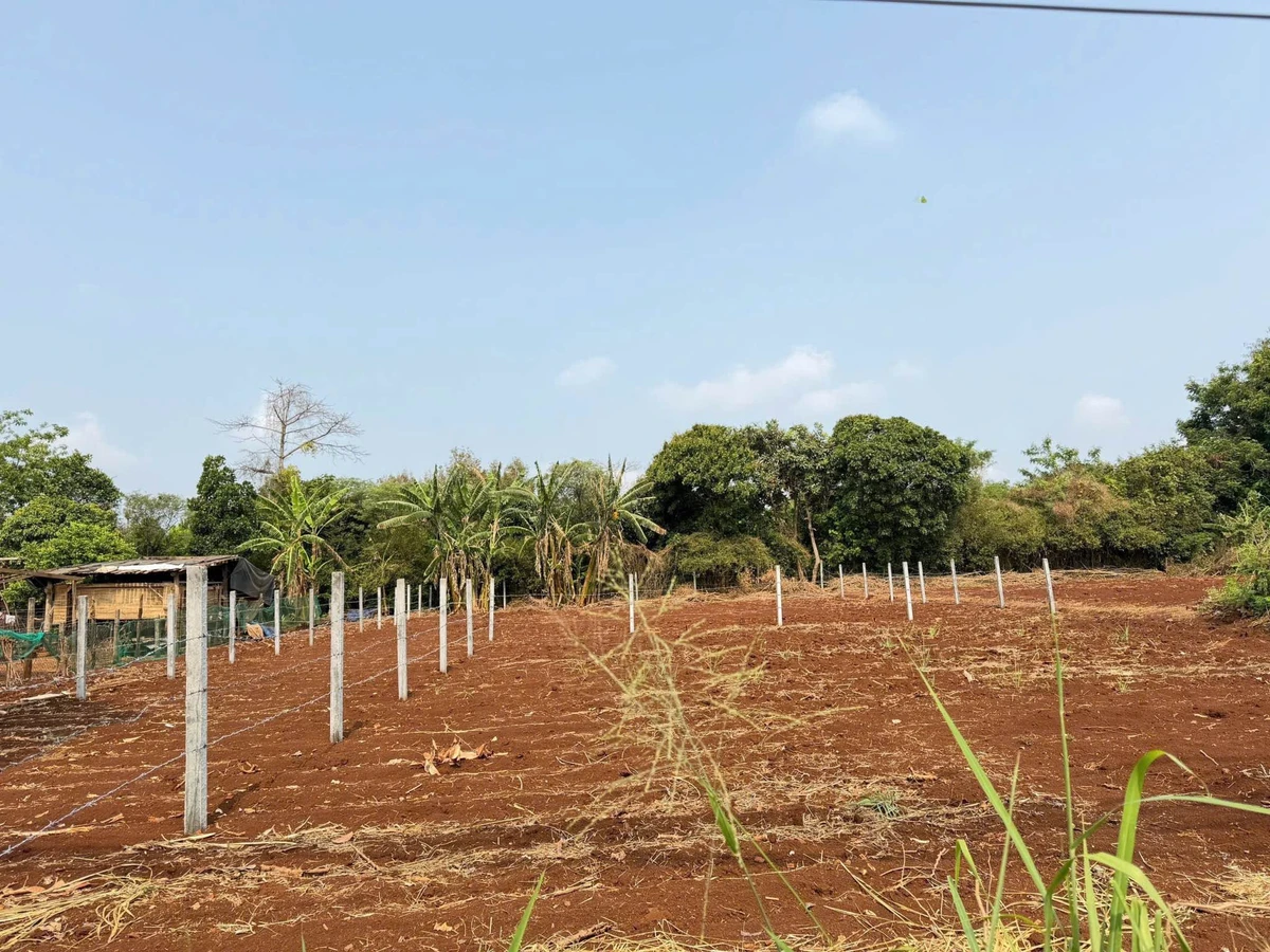 Bán đất hẻm cấp 1 Thủ Khoa Huân 120m² 2,65 tỷ - Ảnh thu nhỏ 2