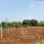 Bán đất hẻm cấp 1 Thủ Khoa Huân 120m² 2,65 tỷ - Ảnh thu nhỏ 2