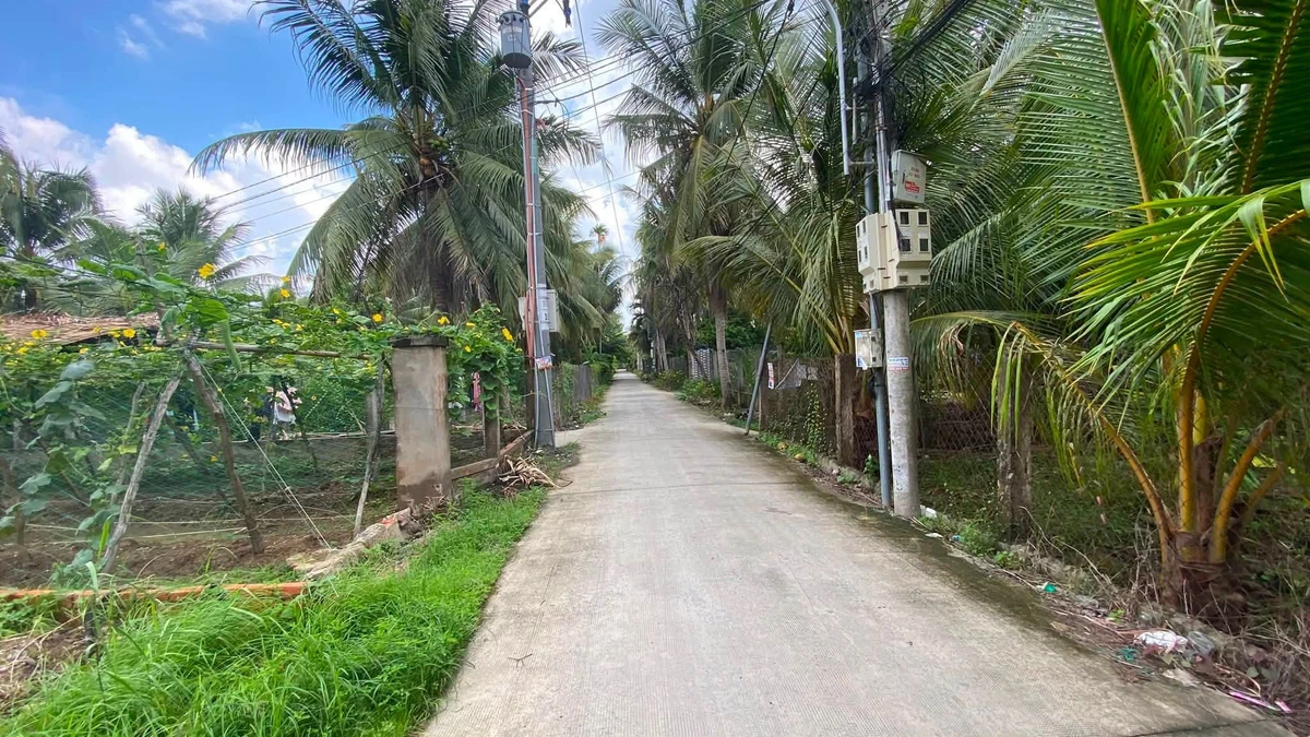 Bán đất nền 300m2 Xã Phú Nhuận Bến Tre 550 triệu - Ảnh 1
