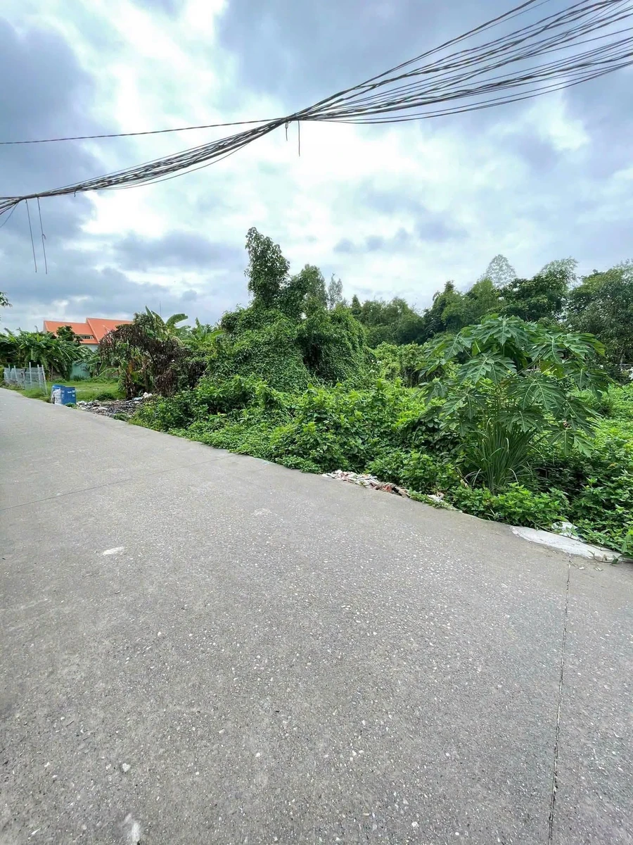 Bán đất Bình Nhâm 8×44m, 352m² – 5 tỷ - Ảnh thu nhỏ 2