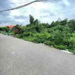 Bán đất Bình Nhâm 8×44m, 352m² – 5 tỷ - Ảnh thu nhỏ 2