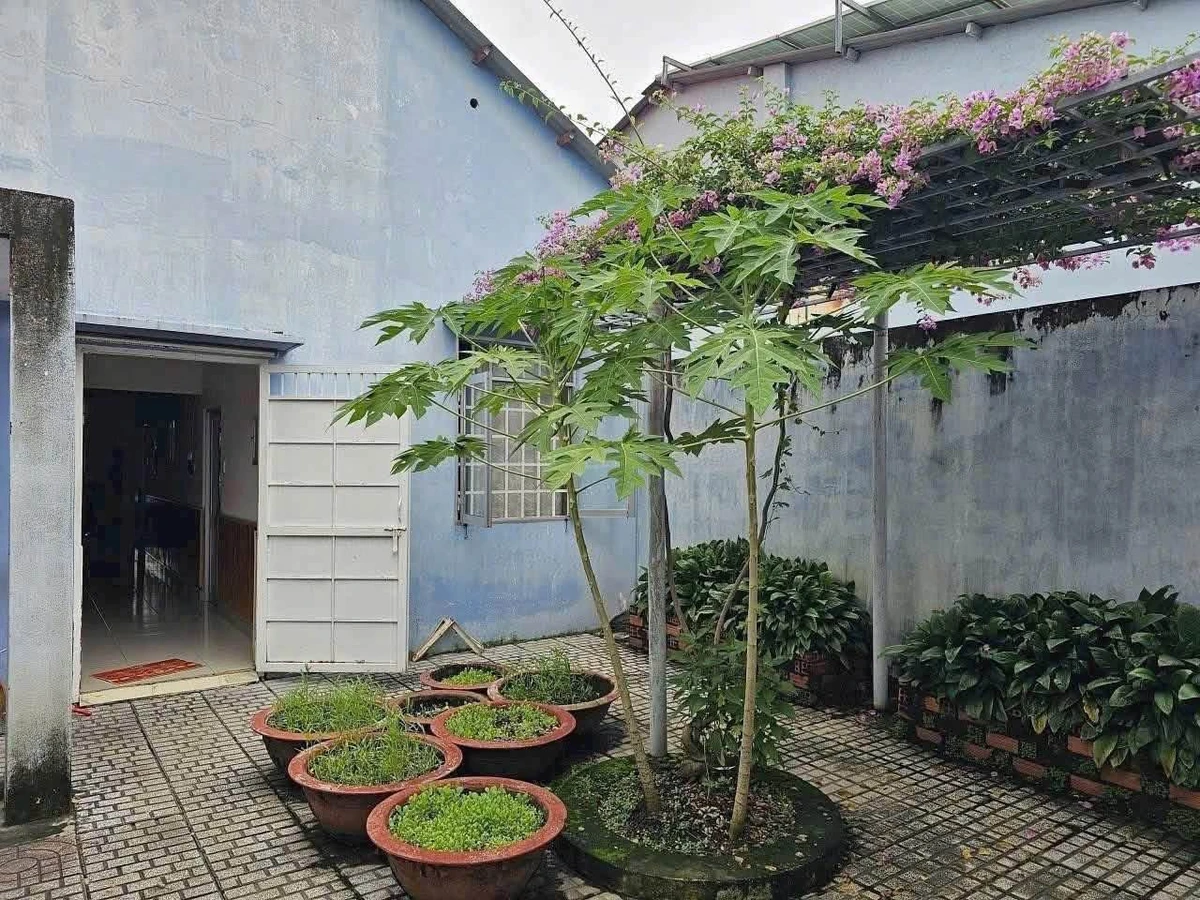 Bán nhà vườn 705m² view sông Hiệp Hòa Nhà Bè 15,5 tỷ - Ảnh thu nhỏ 5