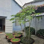 Bán nhà vườn 705m² view sông Hiệp Hòa Nhà Bè 15,5 tỷ - Ảnh thu nhỏ 5