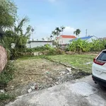 Bán đất 62m² sát đường 203 Lâm Động giá hơn 1 tỷ - Ảnh thu nhỏ 4