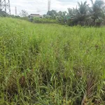 Bán lô đất 198,5m2 thổ cư, sổ hồng riêng tại Ấp 6 Nhựt Chánh, Bến Lức, Long An - Ảnh thu nhỏ 1