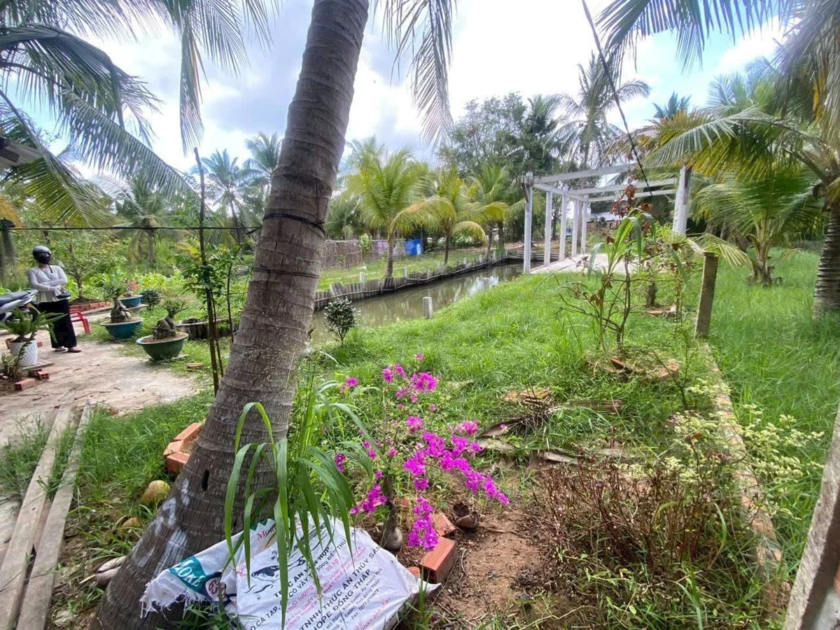 Bán đất 532m² Mỏ Cày, Bình Chánh, 900 triệu - Ảnh thu nhỏ 2