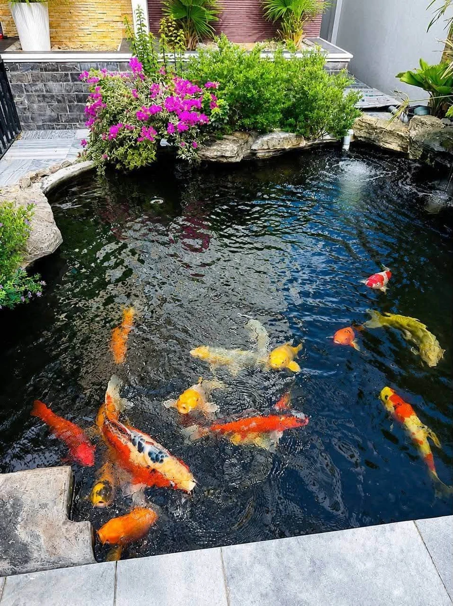 Bán nhà 3 tầng Phù Mỹ Nam 300m2 giá 3 tỷ 500 triệu - Ảnh thu nhỏ 2