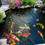 Bán nhà 3 tầng Phù Mỹ Nam 300m2 giá 3 tỷ 500 triệu - Ảnh thu nhỏ 2