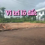 Bán đất Hòa Bình Xuyên Mộc 468m² - 1,5 tỷ - Ảnh thu nhỏ 3