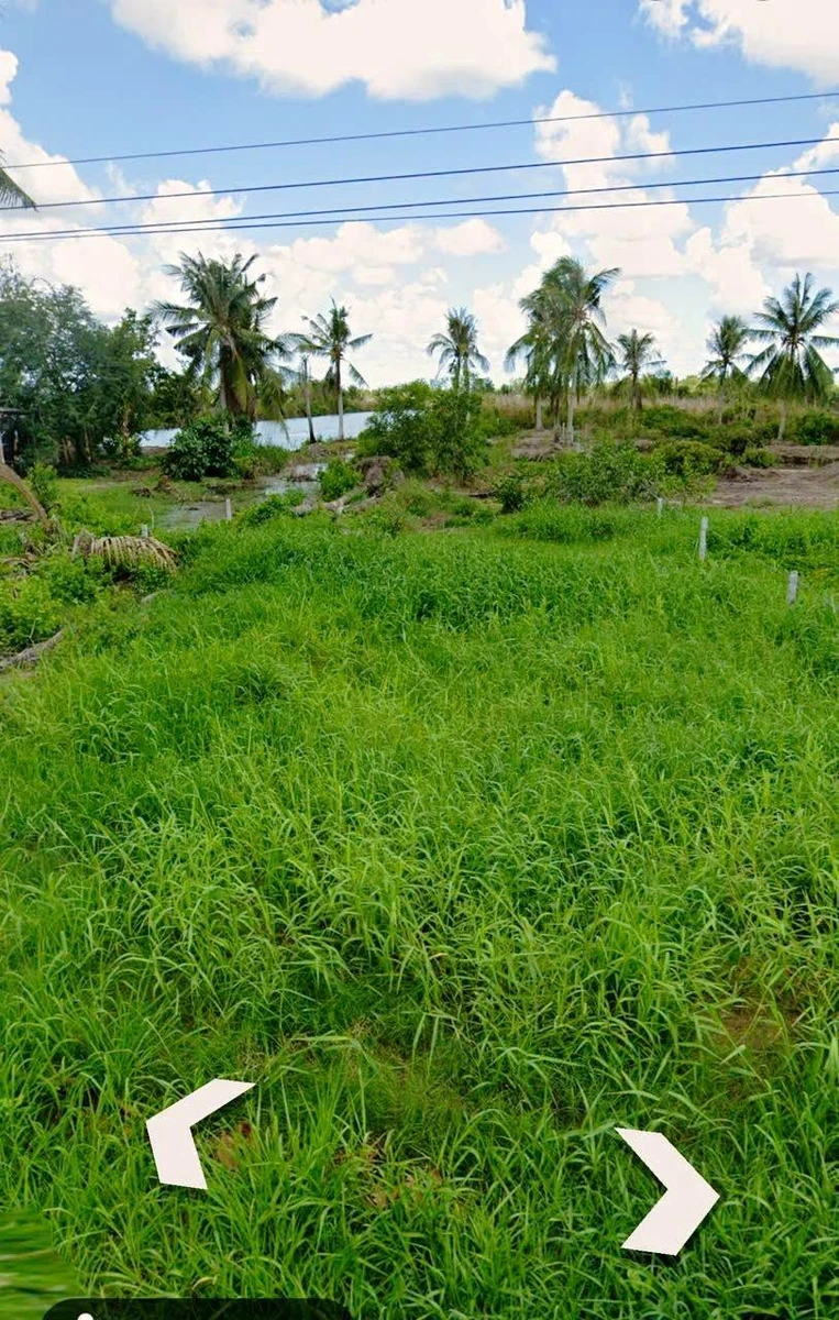 Bán đất thổ cư kèm vườn 809,9m2 gần cầu Bạch Ngưu, phường An Xuyên, Cà Mau - Ảnh thu nhỏ 2