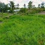 Bán đất thổ cư kèm vườn 809,9m2 gần cầu Bạch Ngưu, phường An Xuyên, Cà Mau - Ảnh thu nhỏ 2