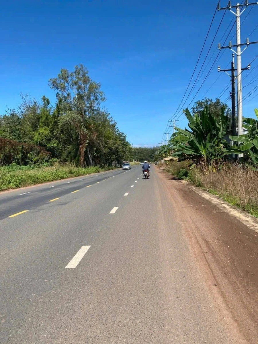 Bán đất mặt tiền Minh Lập Hóc Môn 20x95x100m - Ảnh thu nhỏ 3