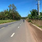 Bán đất mặt tiền Minh Lập Hóc Môn 20x95x100m - Ảnh thu nhỏ 3