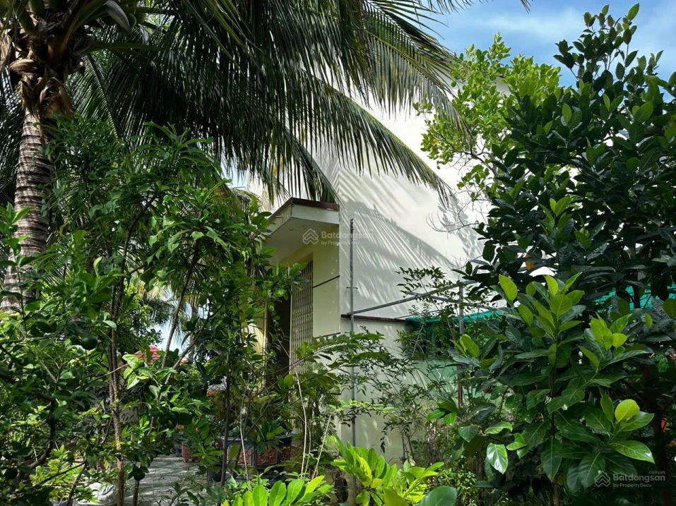 Nhà vườn lớn Sáu Bình gần biển - Ảnh thu nhỏ 3