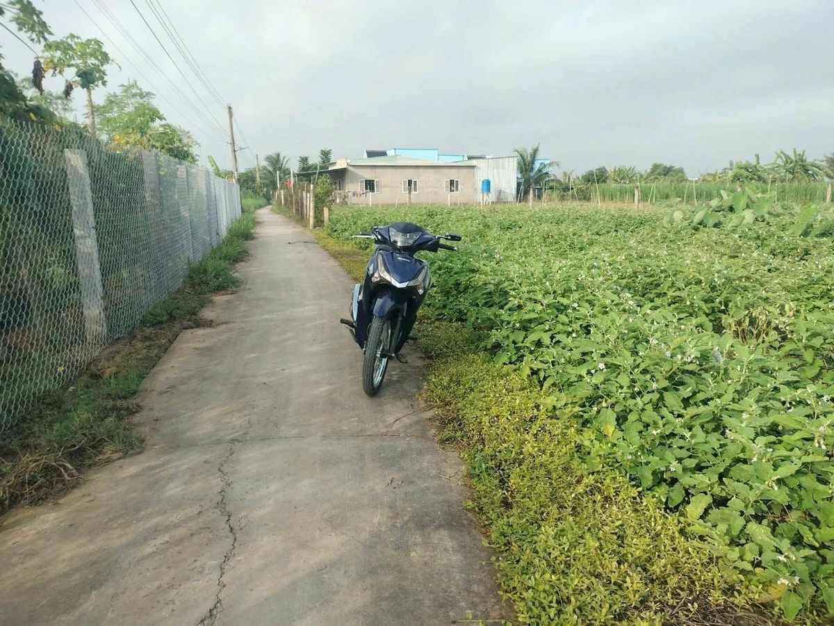 Bán 2 nền liền kề Gò Công Đông, 924 m², 599 triệu - Ảnh thu nhỏ 3