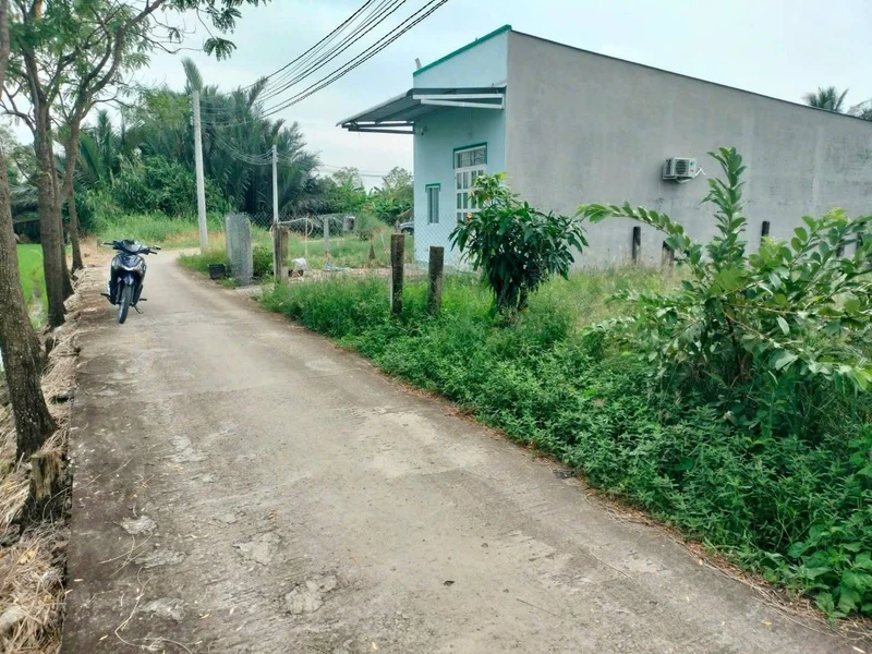 Bán đất Tân Trung Gò Công Tiền Giang 85m² 260 triệu