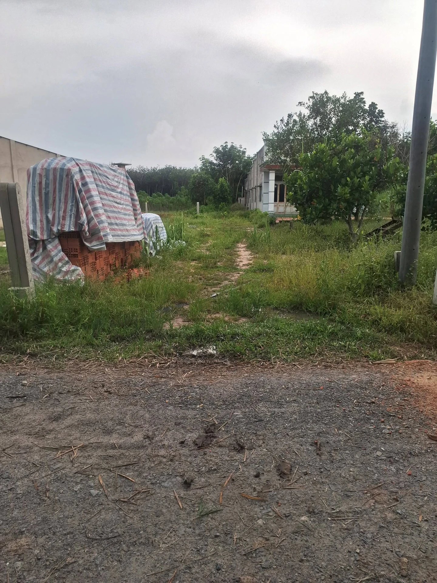 Bán đất thổ cư 5x38m Long Chữ, Tây Ninh, 240 triệu - Ảnh 1