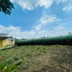 Bán đất 3,1 sào mặt tiền sát đường Cẩm Mỹ - Ảnh thu nhỏ 2