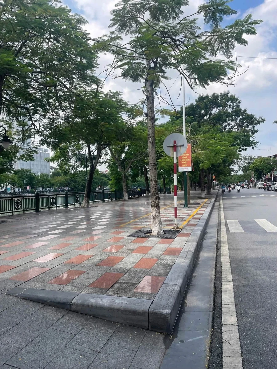 Bán nhà mặt hồ Tam Bạc, 250m2, 12 tỷ - Ảnh thu nhỏ 2