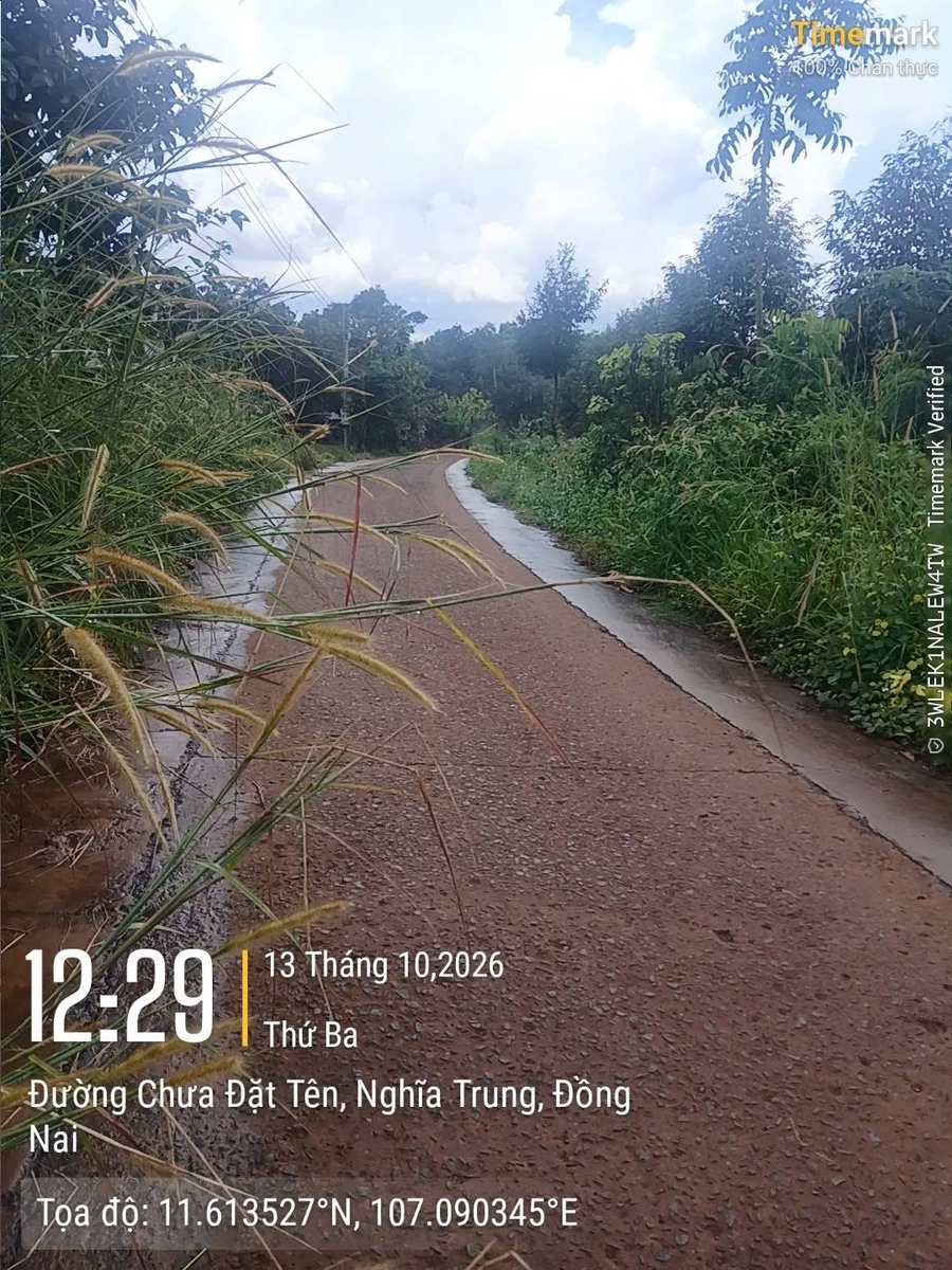 Bán đất Đông Đức 250m², 150 triệu - Ảnh thu nhỏ 2