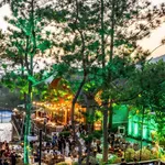 CHUYỂN NHƯỢNG QUỸ CĂN BIỆT THỰ RỪNG THÔNG VEN HỒ THANH XUÂN VALLEY TẤT CÁC PHÂN KHU GIÁ TỐT - Ảnh thu nhỏ 10
