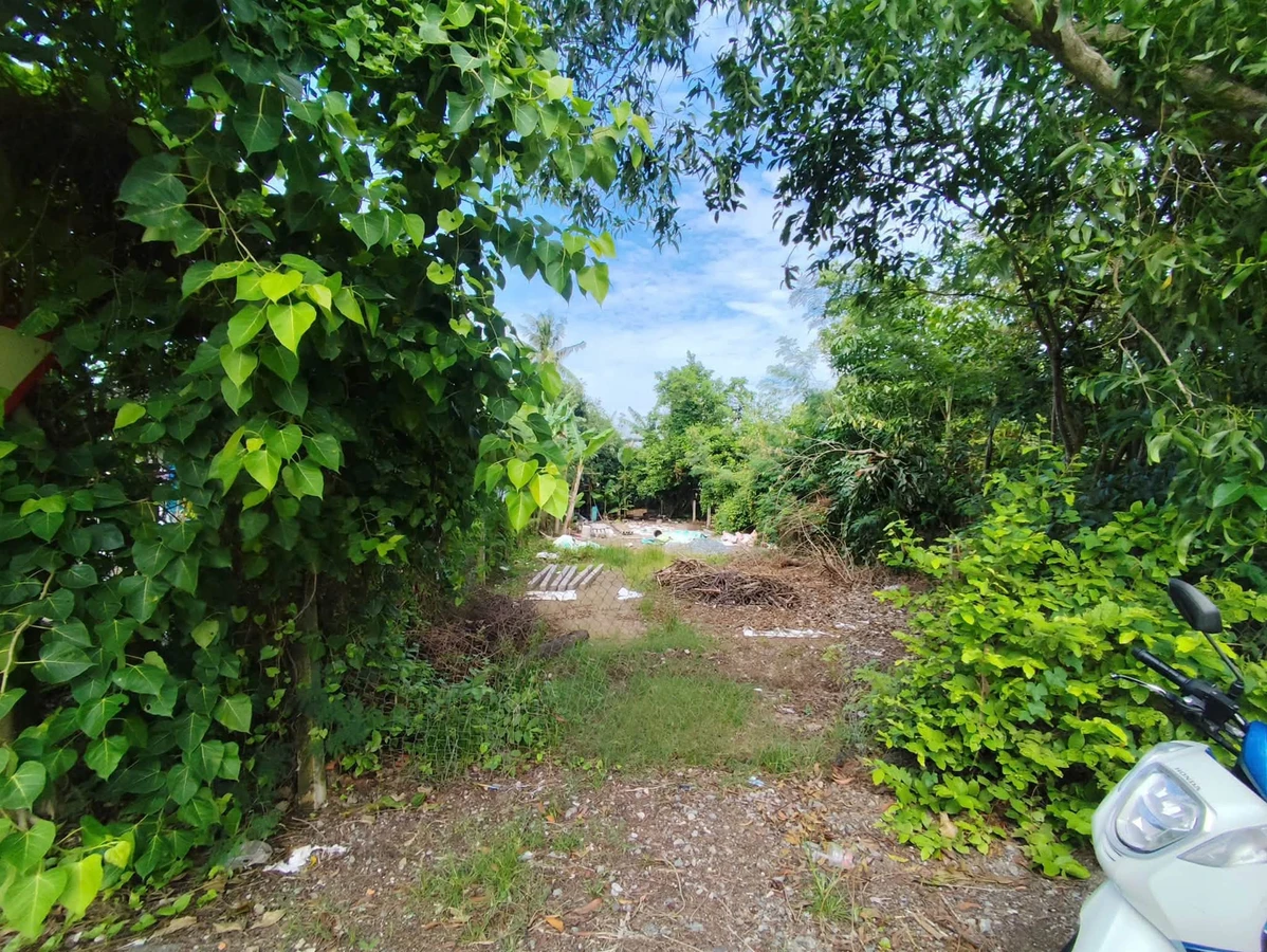 Bán đất 231m2 Long An 2 tỷ 2 - Ảnh thu nhỏ 3